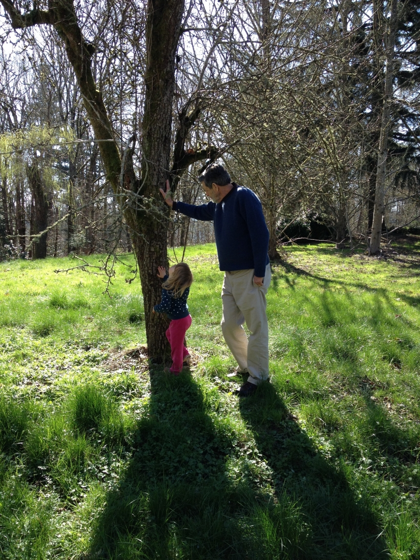 Tree with Grandpa