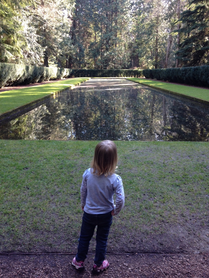 Reflection Pool