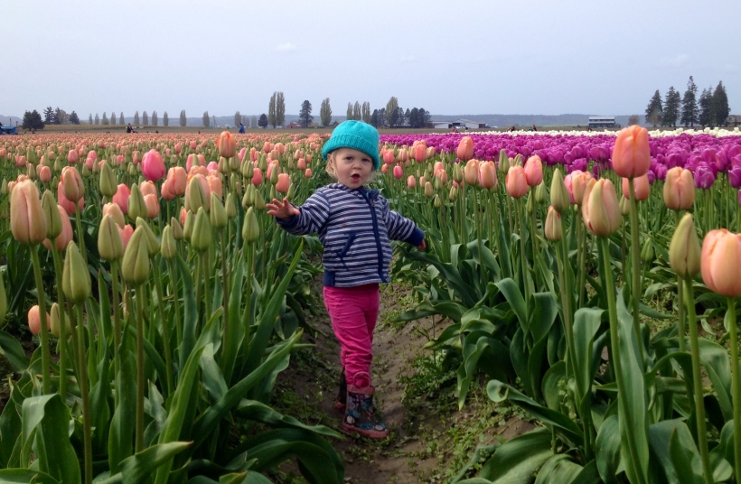 Tulip Stroll