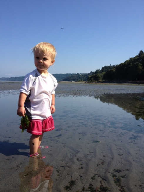 Warm Seattle Beach