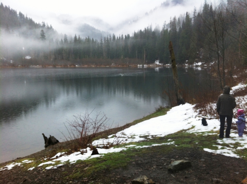 At Trout Lake in November