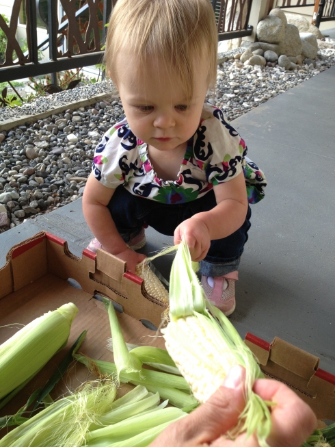 A lesson in shucking