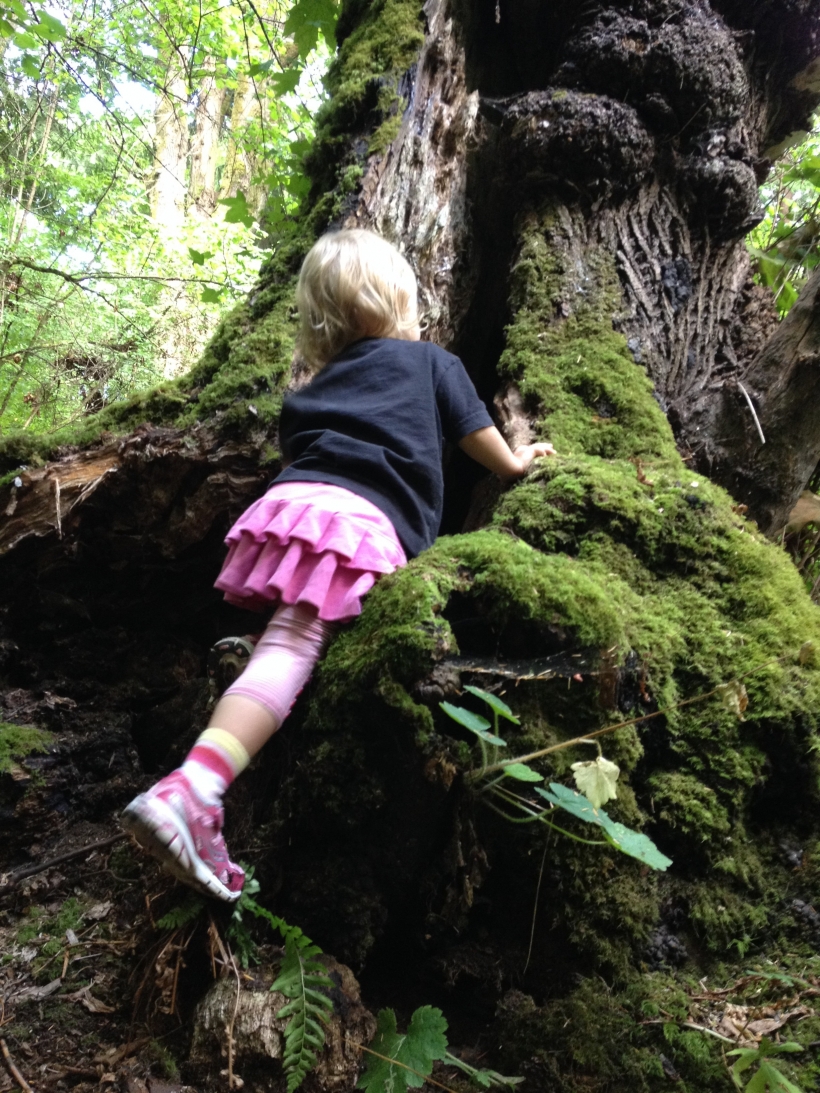 Climb a Tree