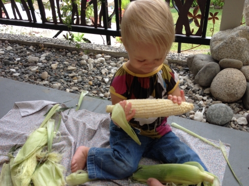 Corn Shuckers